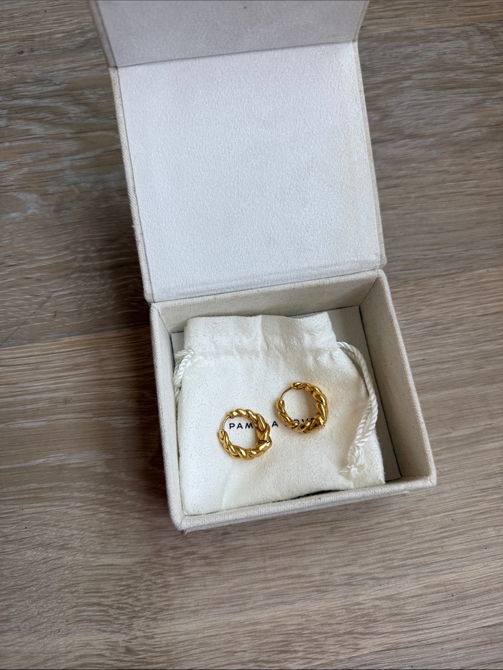Pamela Love Pythia Gold Twisted Hoop Earrings